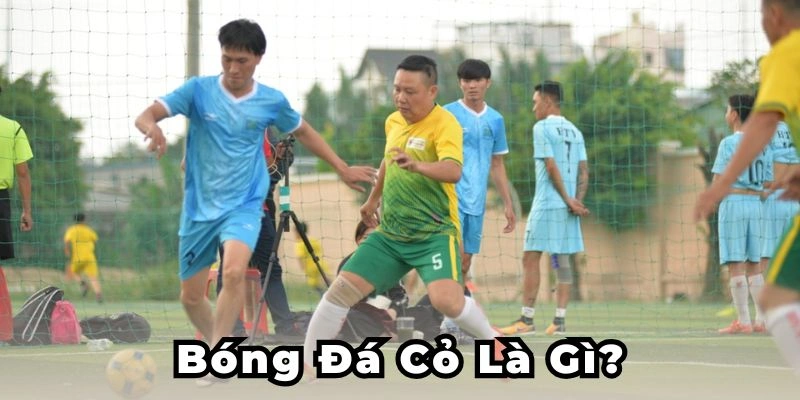 Bóng đá cỏ là gì