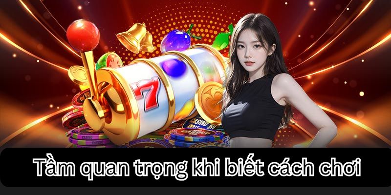 Sự quan trọng của cách chơi