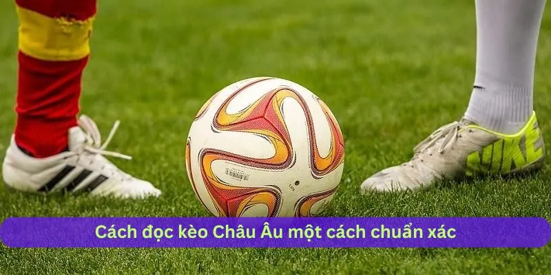 Cách đọc kèo châu âu chuẩn chỉ nhất