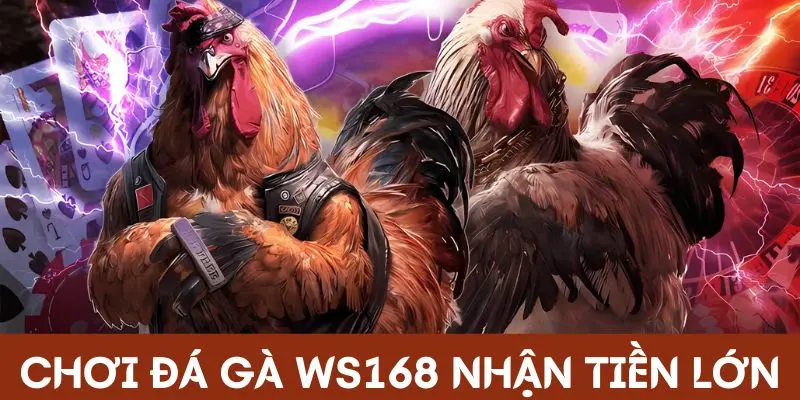Chơi đá gà WS168 nhận tiền lớn