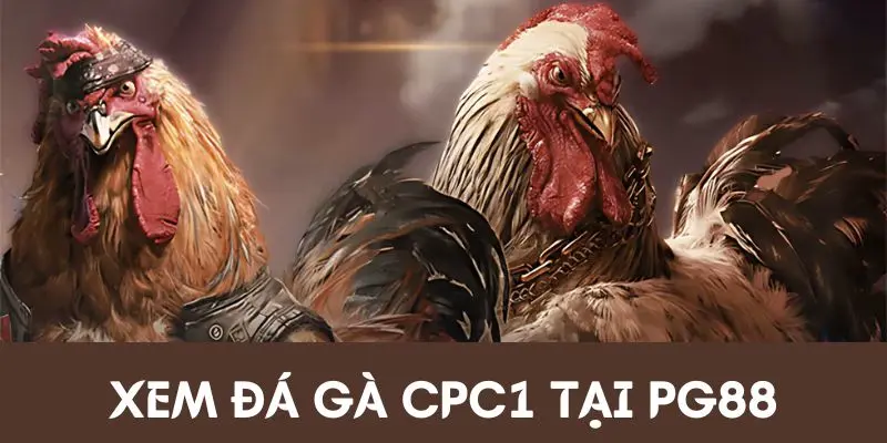 Đá Gà CPC1
