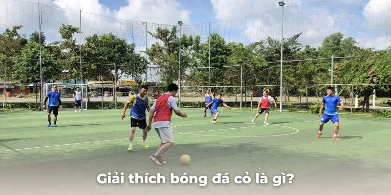 Giải thích bóng đá cỏ là gì và những thông tin cơ bản cần biết