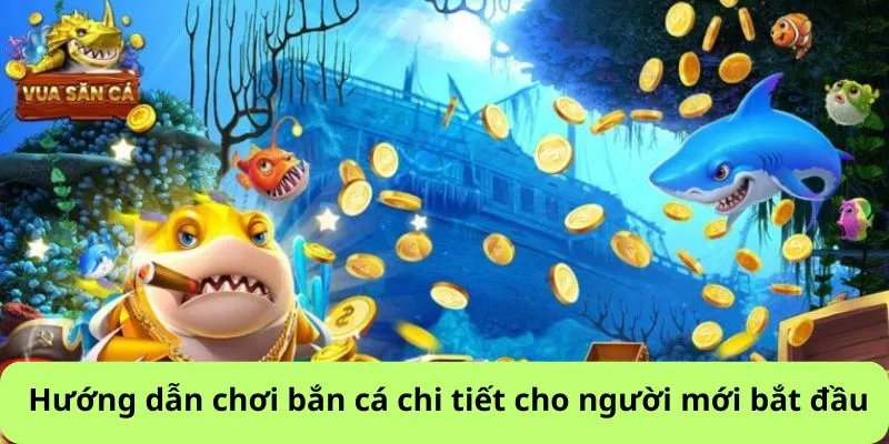 Hướng dẫn chơi bắn cá chi tiết cho newbie
