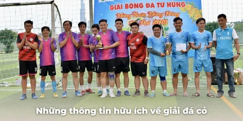 Những thông tin hữu ích về giải đá cỏ dành cho người chơi cá cược