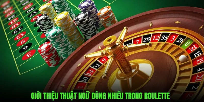 Những thuật ngữ dùng nhiều trong game Roulette trên PG88